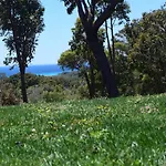Eagle Bay House
