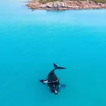 Central Gem