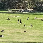 Dunsborough Ridge Retreat