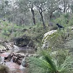 Dunsborough Ridge Retreat