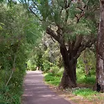 Pegasus