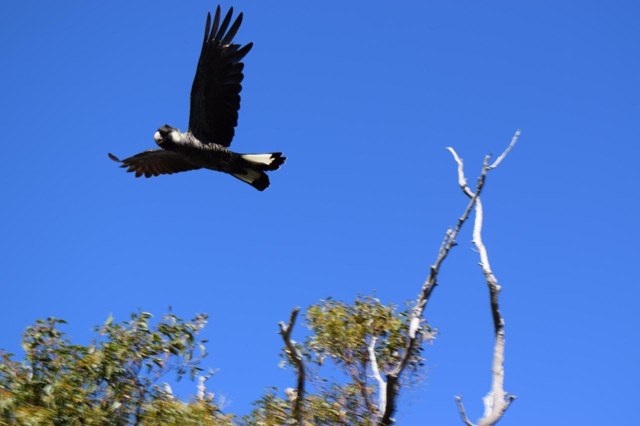 Eagle Bay House Bed & Breakfast 5*