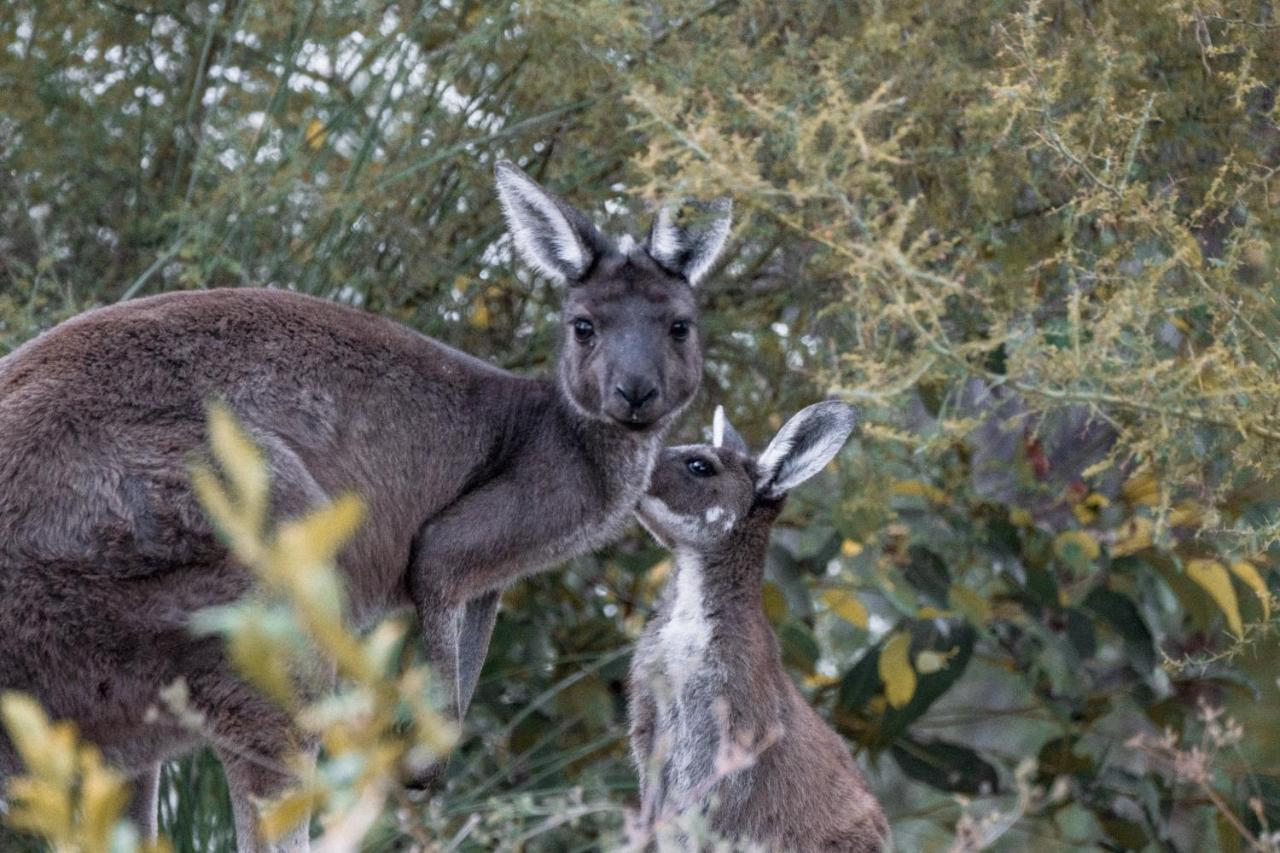 Bina Maya Yallingup Escape 5* Dunsborough
