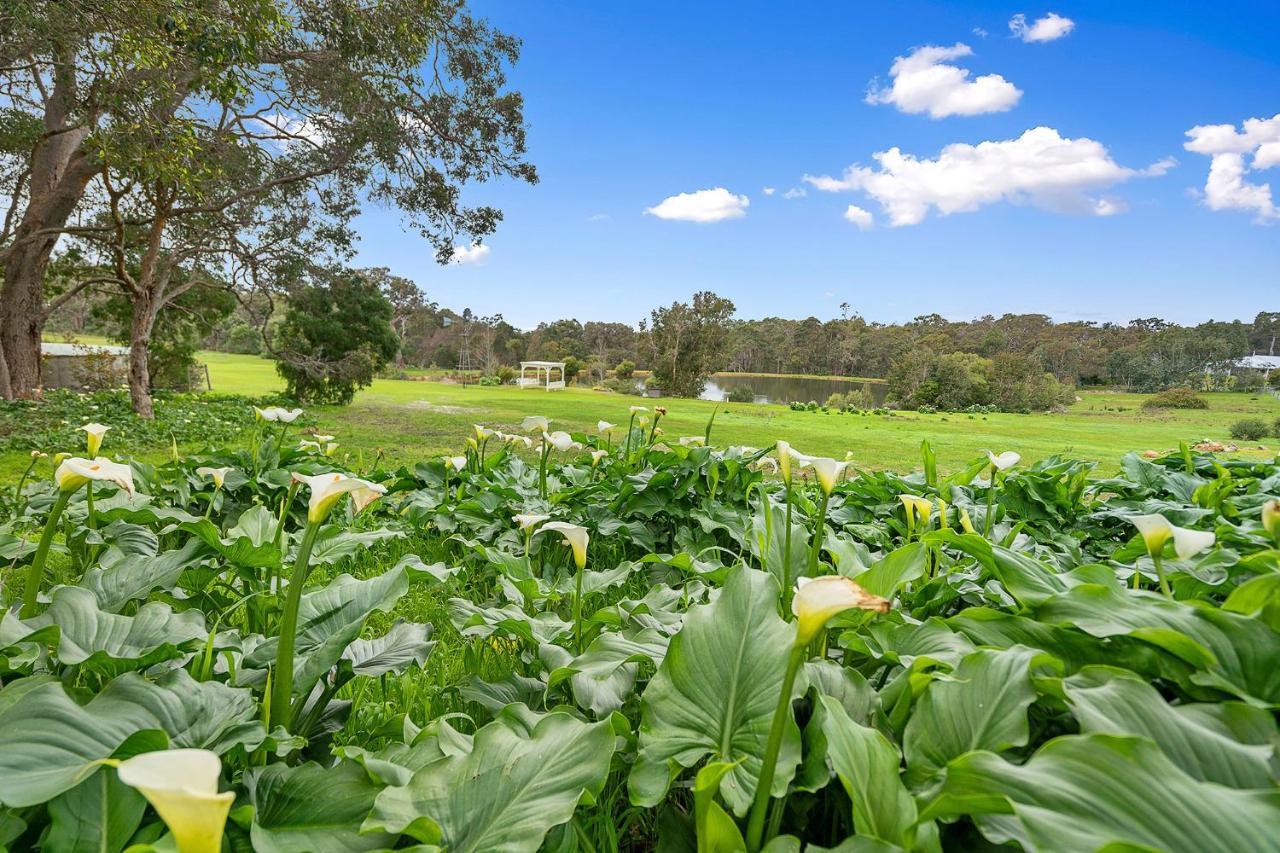 Goanna - Woodstone Estate Holiday home