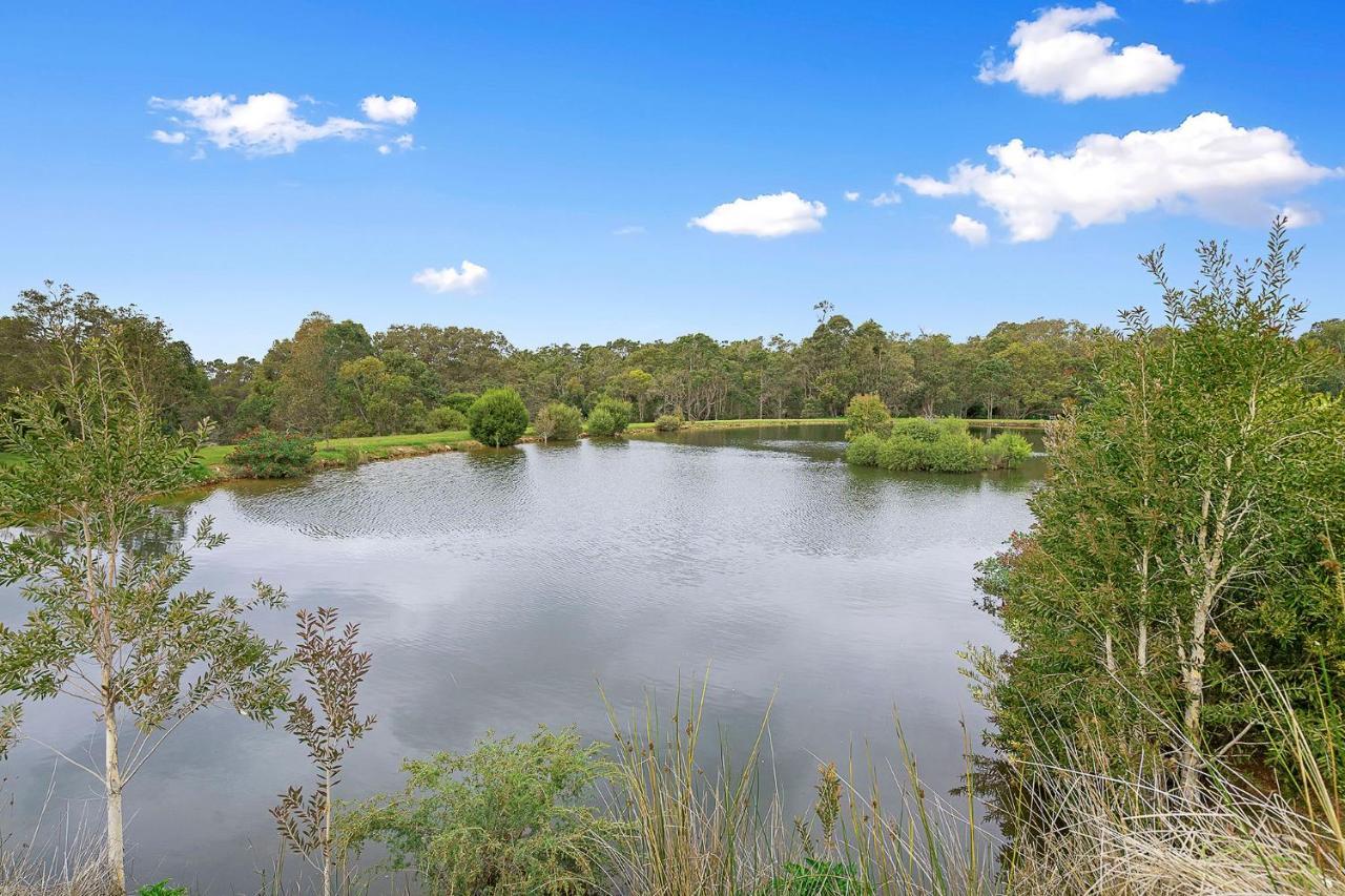Goanna - Woodstone Estate *