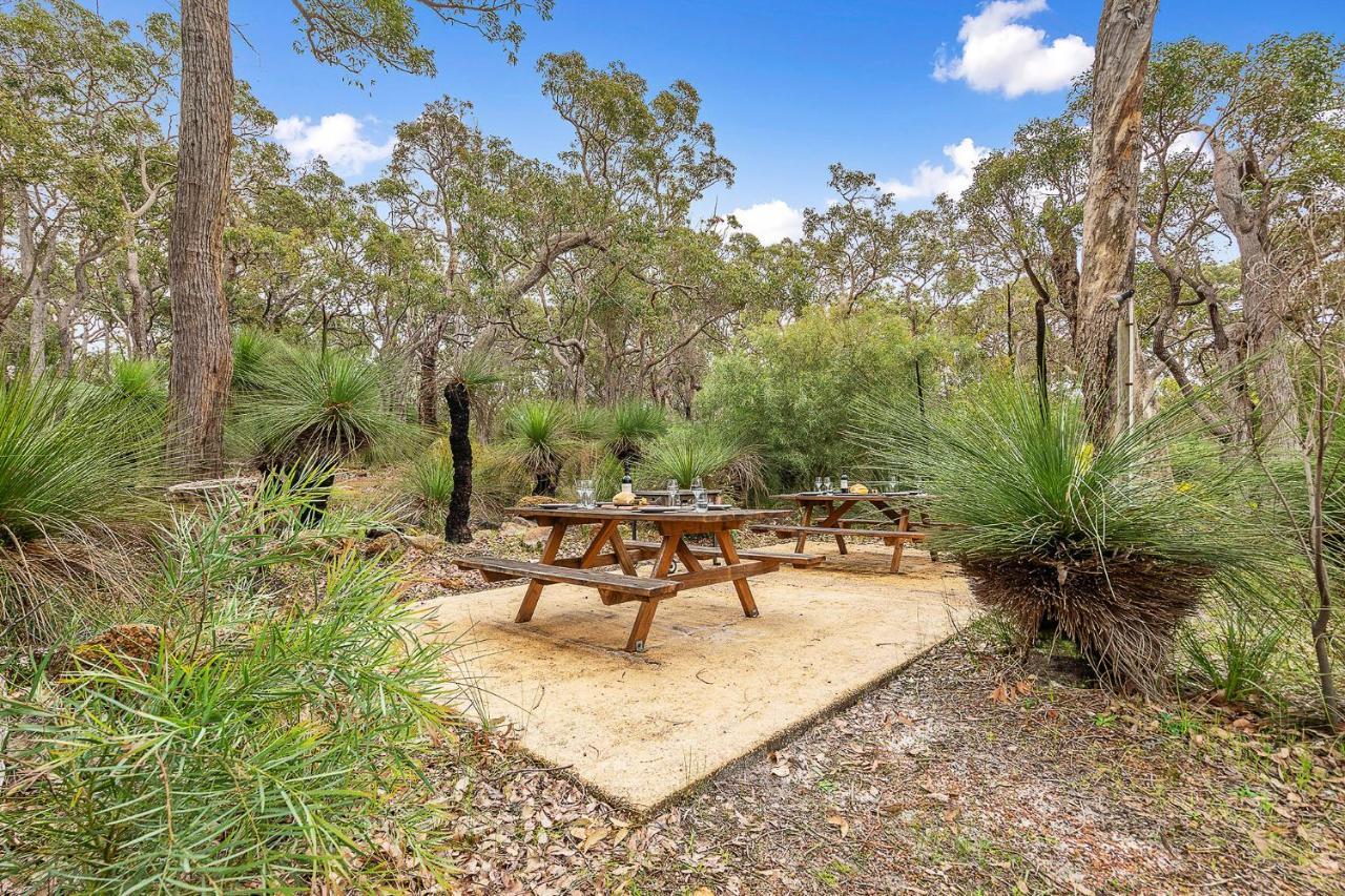 Goanna - Woodstone Estate