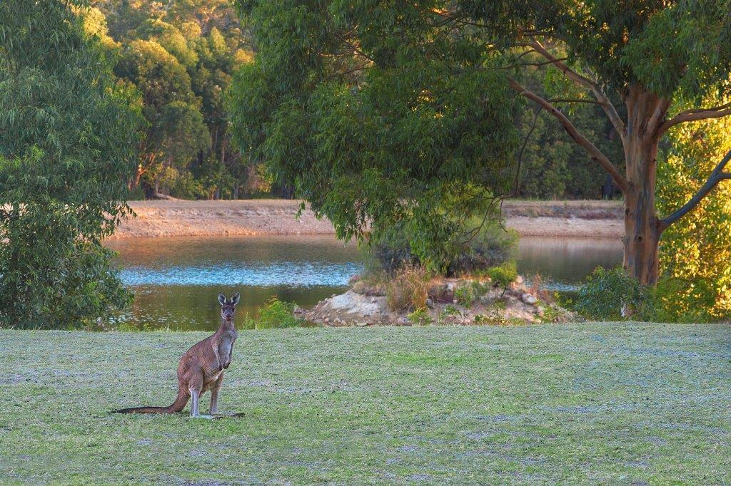 Lodge Woodstone Cottages Dunsborough