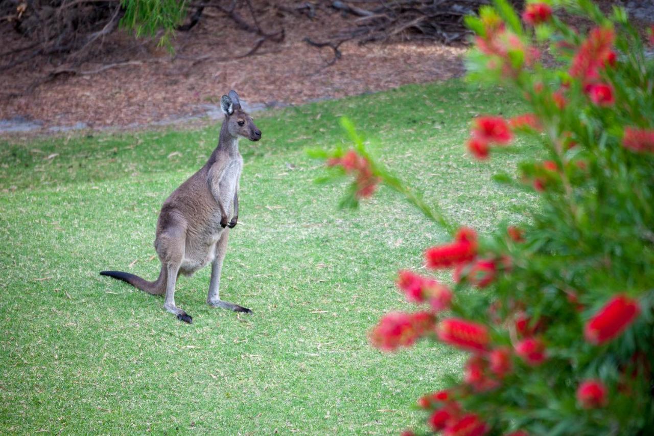 Makesh I Private Holiday home Dunsborough