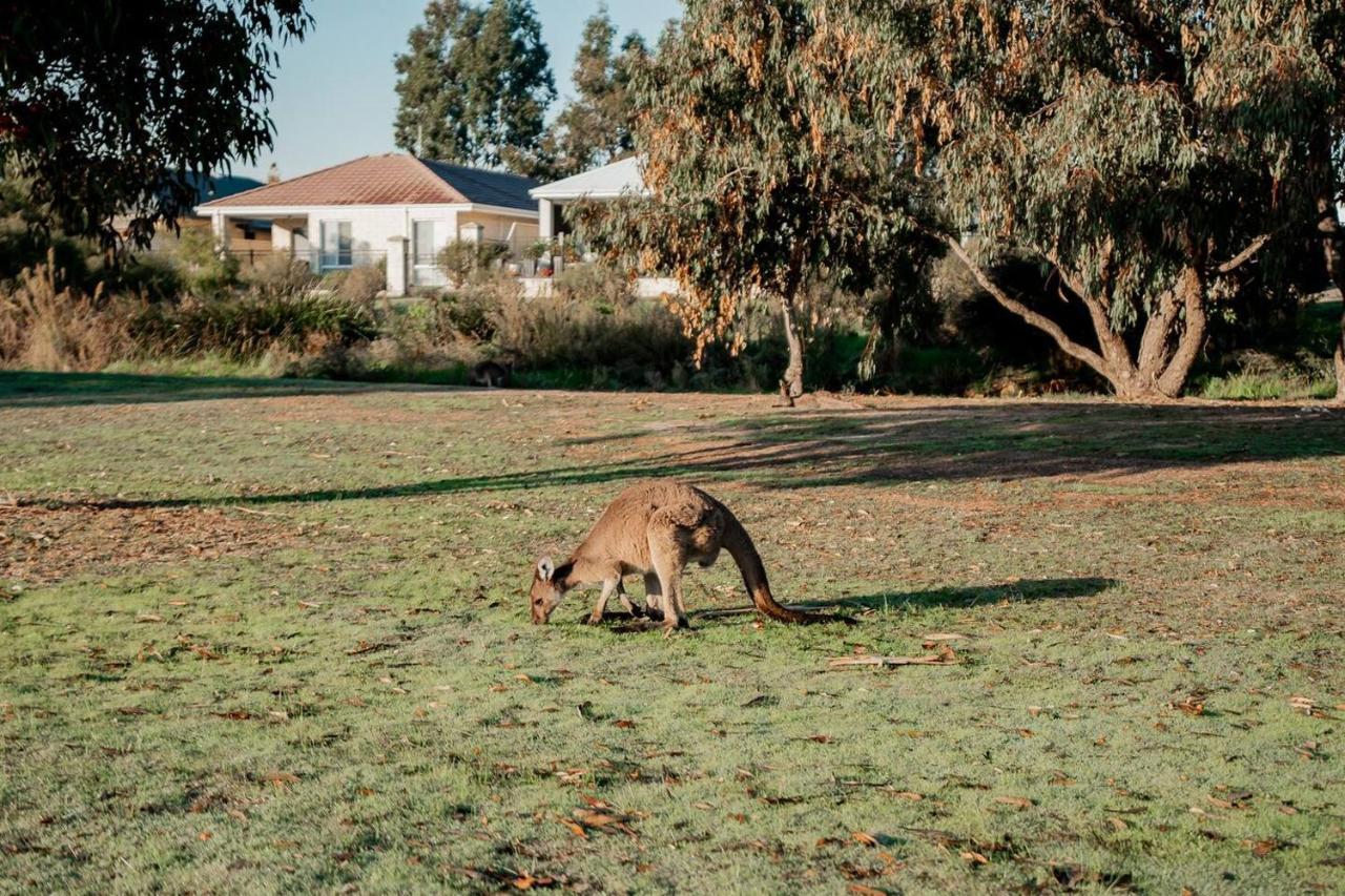 Boodalang House - Access To Golf Course With Views * Dunsborough