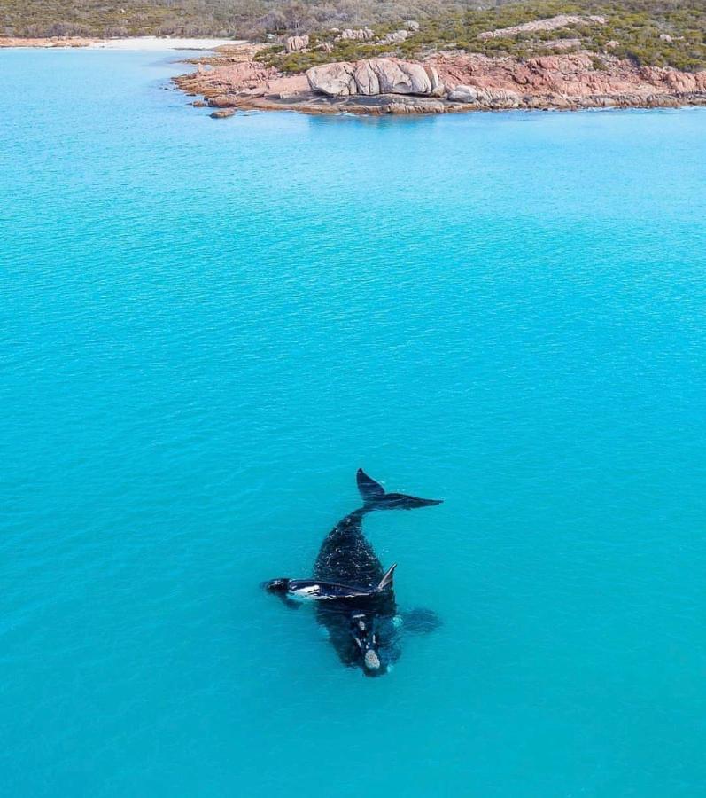 Gem * Dunsborough