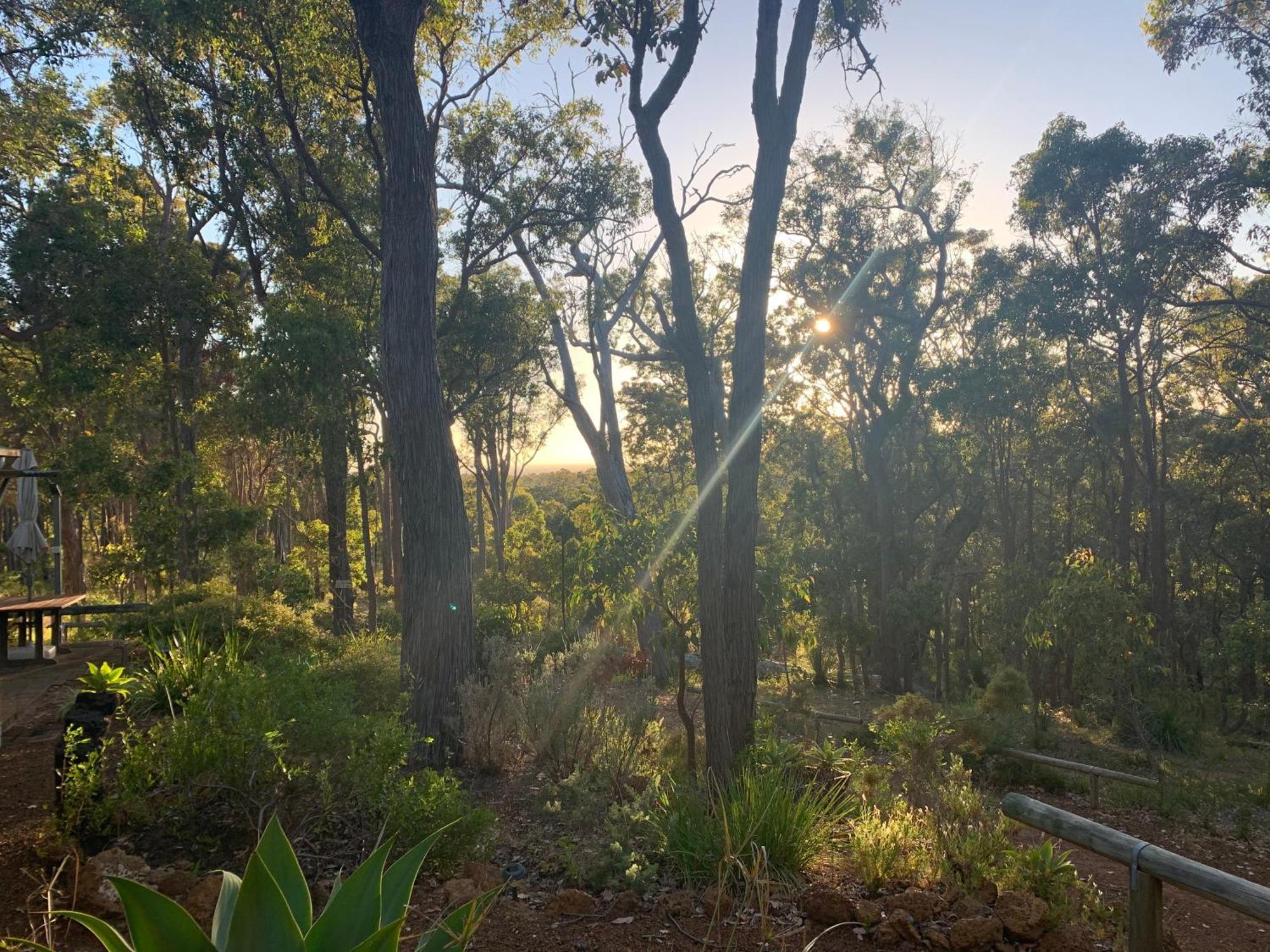 Lodge Ridge Retreat