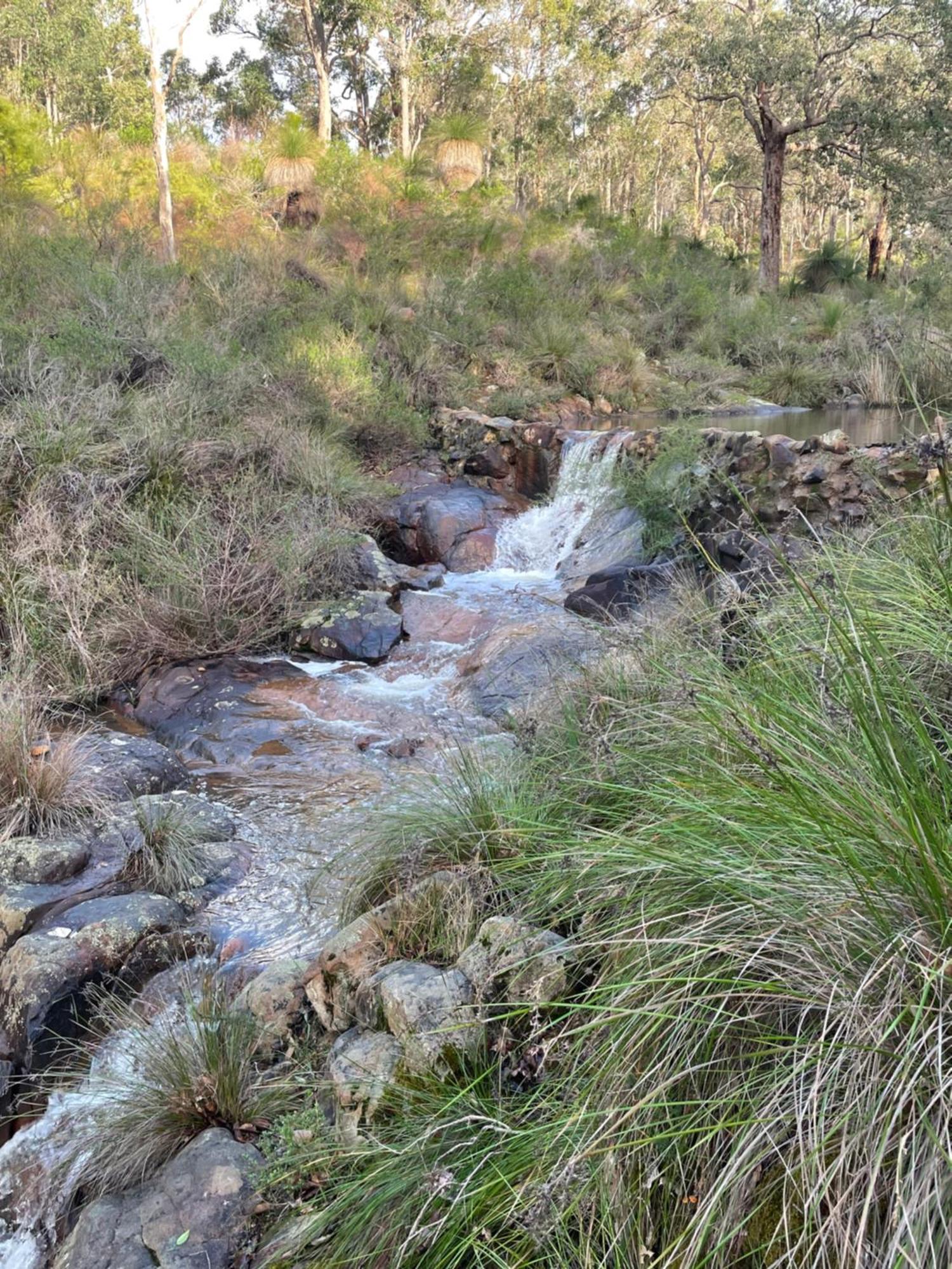 Lodge Ridge Retreat