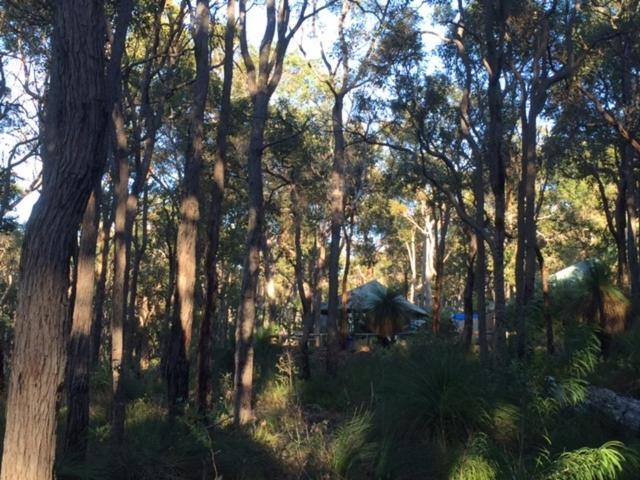 Ridge Retreat Lodge Dunsborough