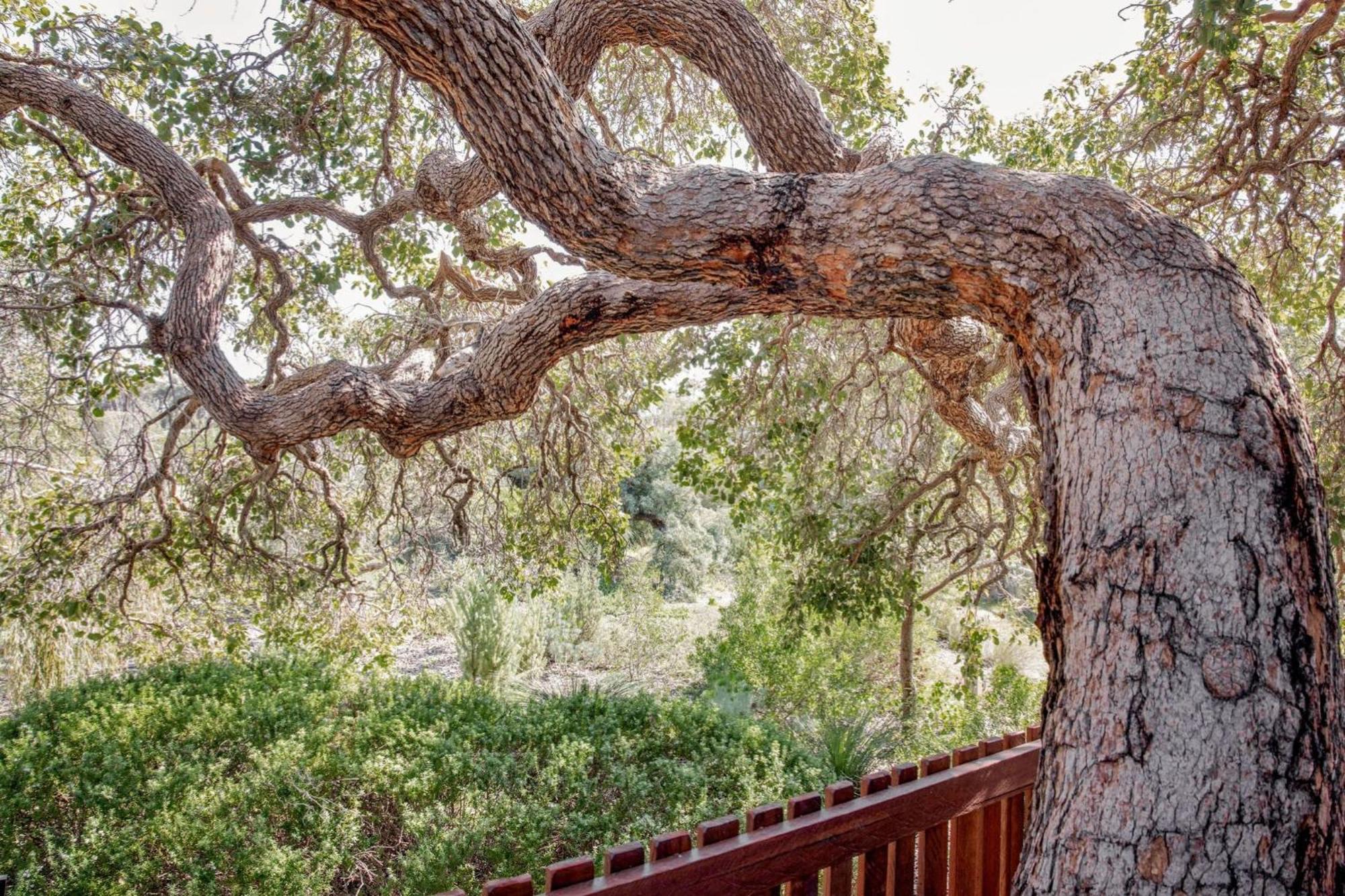 Seaview Retreat Holiday home Dunsborough