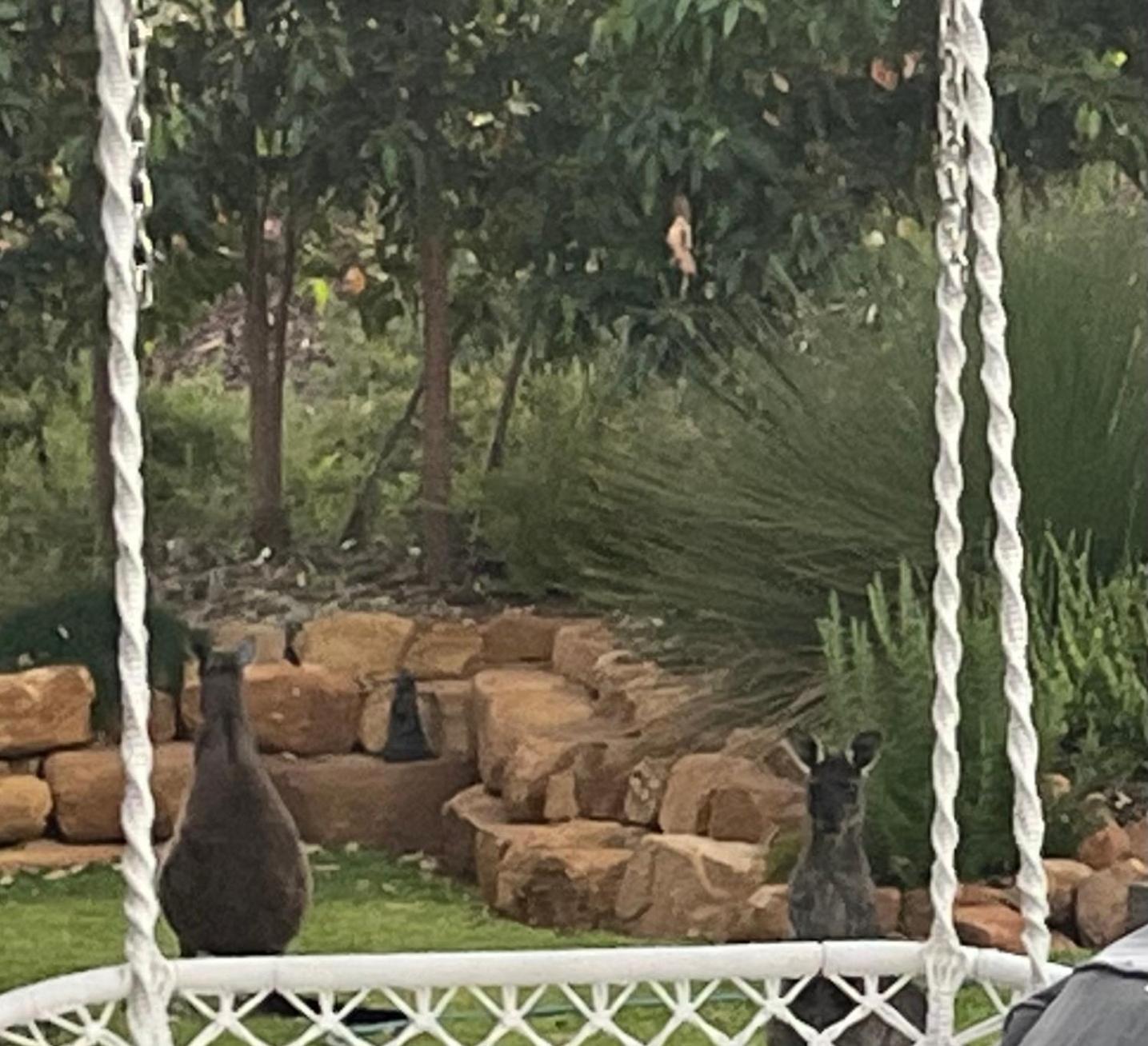 Carnarvon Castle Eagle Bay Holiday home Dunsborough