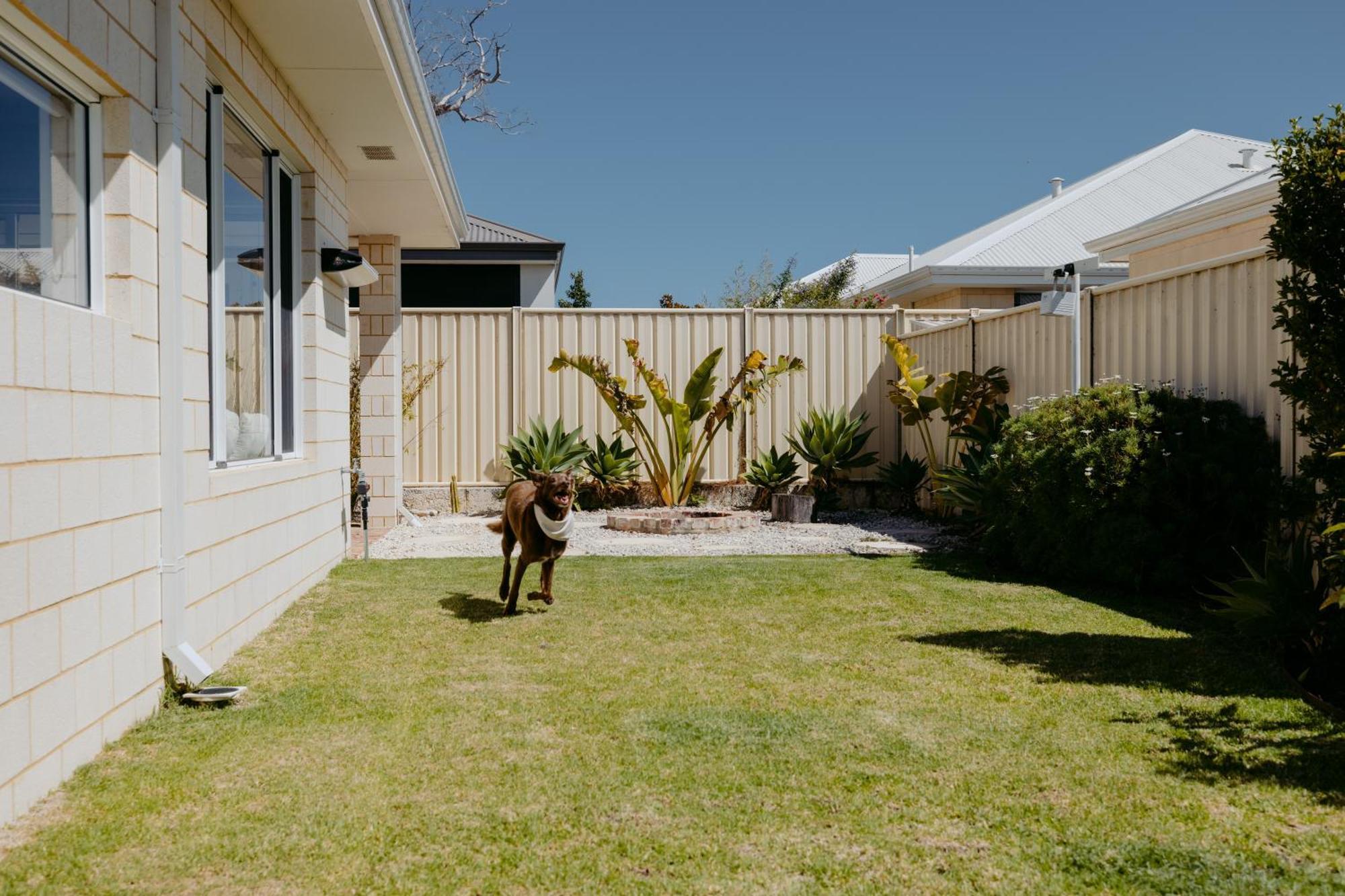 Papillon Family & Pet Friendly Dunsborough