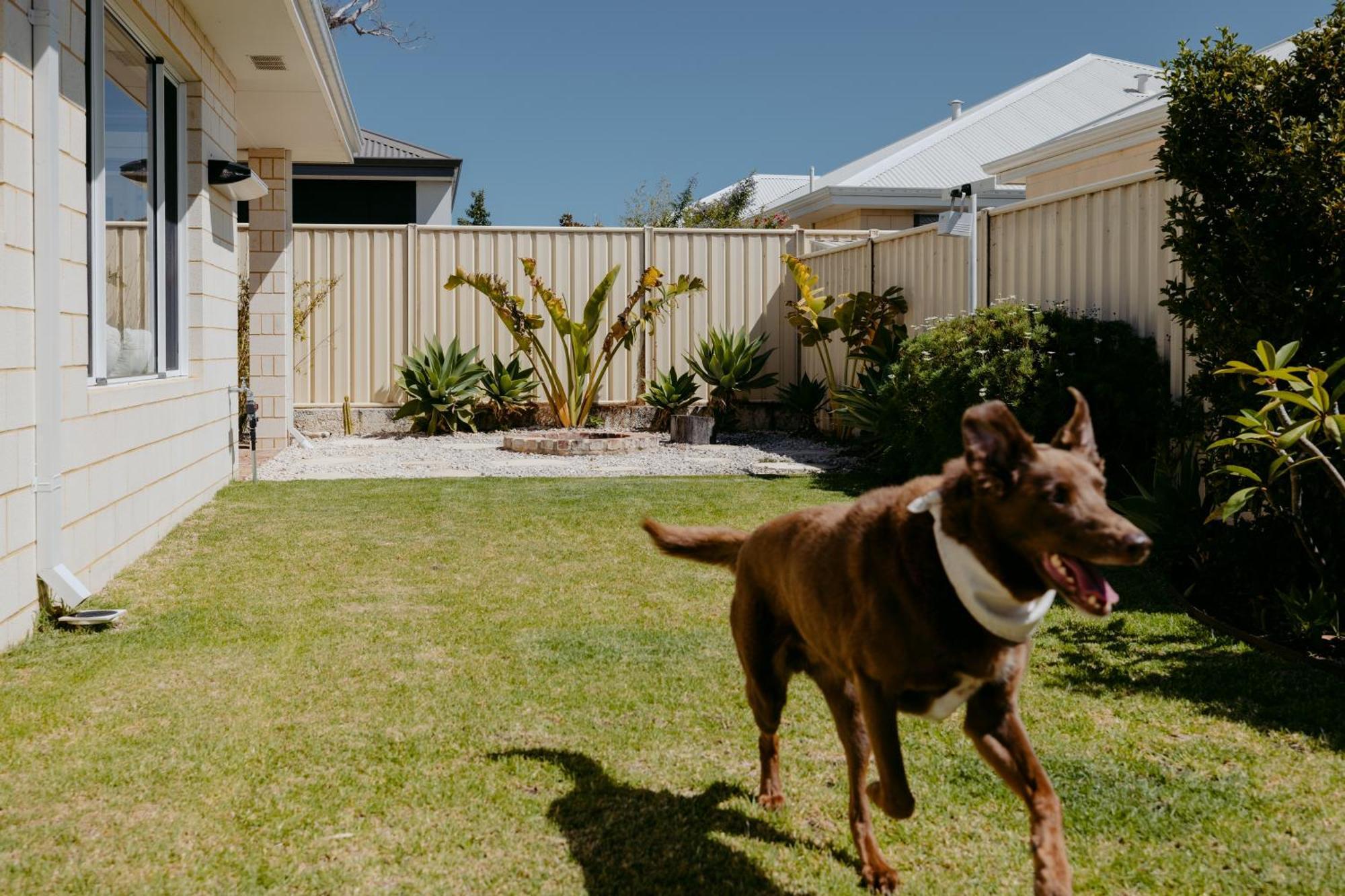 Papillon Family & Pet Friendly Holiday home Dunsborough