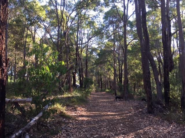 Lodge Ridge Retreat *