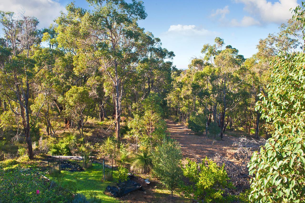A Hidden Bush Delight Holiday home *