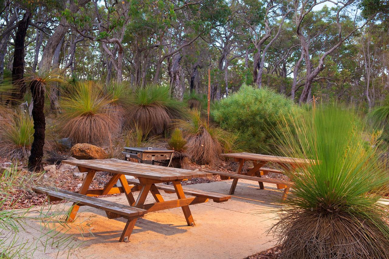 Woodstone Grass Tree Dunsborough