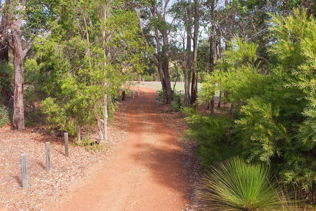 Woodstone Possum