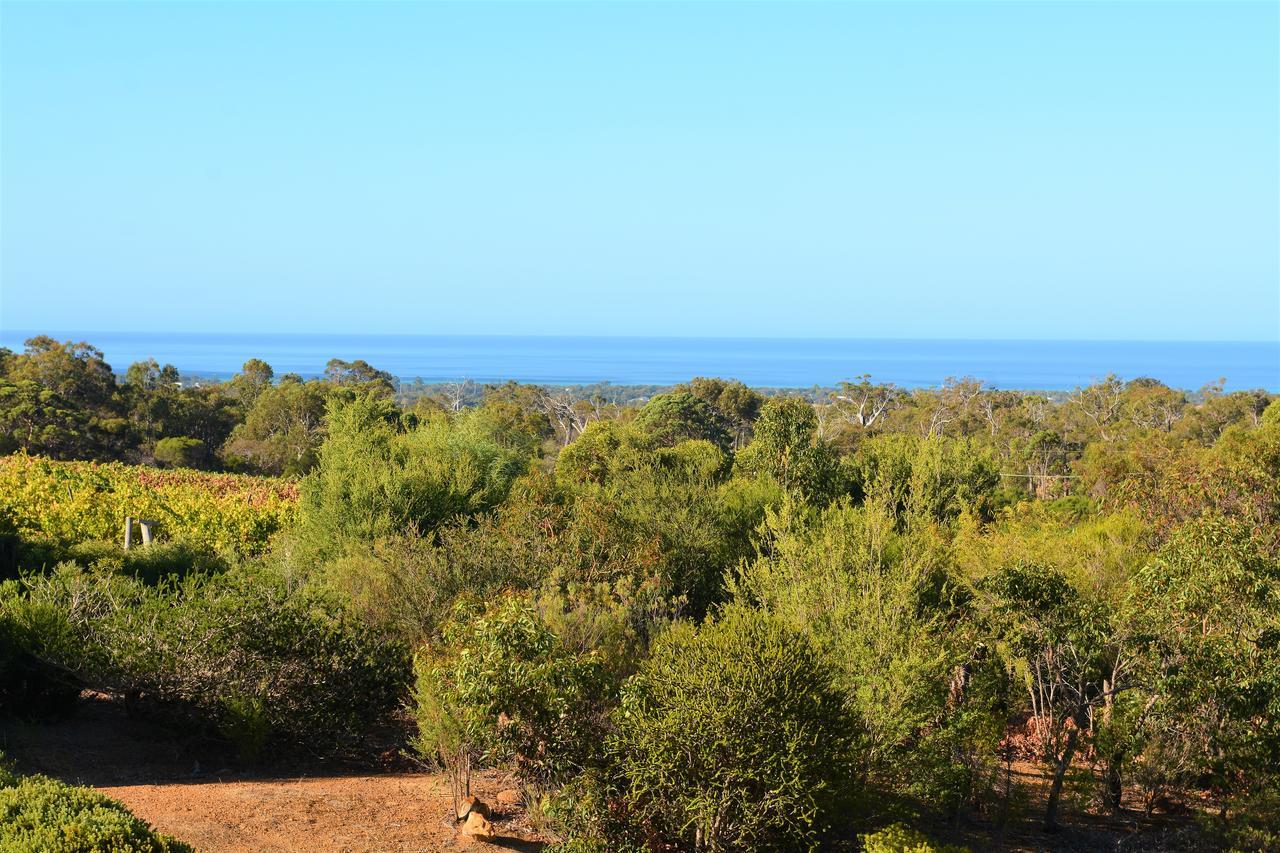 Surinam Dunsborough