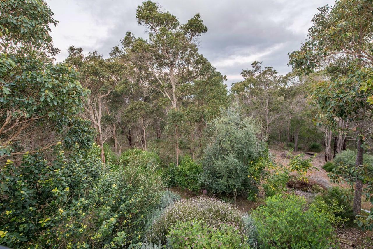 A Hidden Bush Delight *