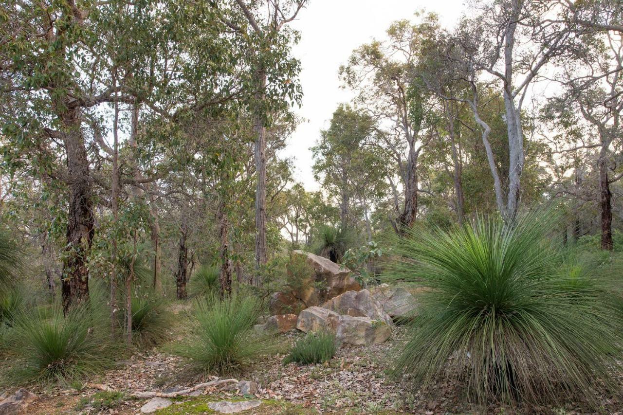 Holiday home A Hidden Bush Delight *